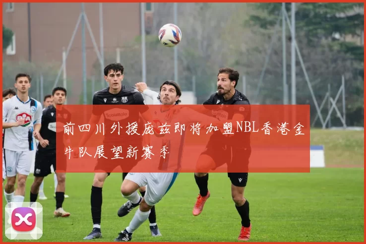 前四川外援庞兹即将加盟NBL香港金牛队展望新赛季