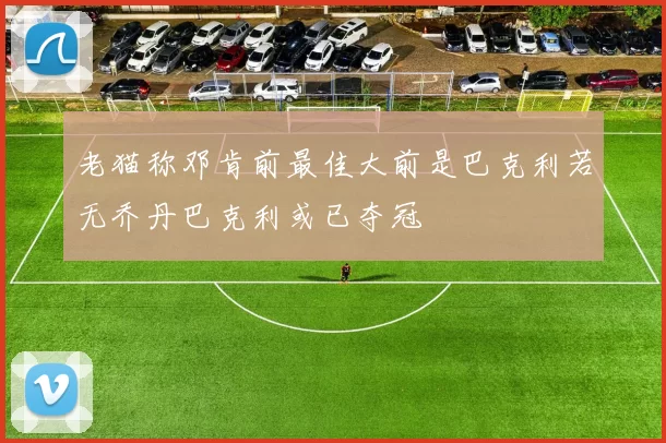 老猫称邓肯前最佳大前是巴克利若无乔丹巴克利或已夺冠